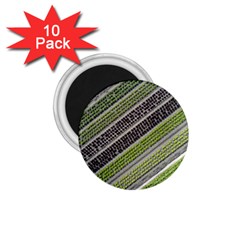 Field Agriculture Farm Stripes Diagonal 1 75  Magnets (10 Pack)  by Jancukart