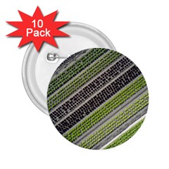 Field Agriculture Farm Stripes Diagonal 2 25  Buttons (10 Pack)  by Jancukart