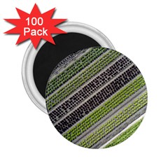 Field Agriculture Farm Stripes Diagonal 2 25  Magnets (100 Pack) 