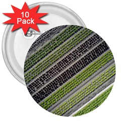 Field Agriculture Farm Stripes Diagonal 3  Buttons (10 Pack)  by Jancukart