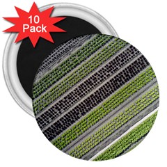 Field Agriculture Farm Stripes Diagonal 3  Magnets (10 Pack)  by Jancukart