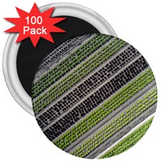 Field Agriculture Farm Stripes Diagonal 3  Magnets (100 Pack) by Jancukart