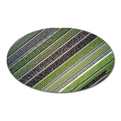 Field Agriculture Farm Stripes Diagonal Oval Magnet by Jancukart