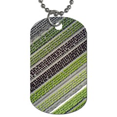 Field Agriculture Farm Stripes Diagonal Dog Tag (one Side) by Jancukart