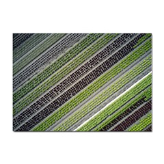 Field Agriculture Farm Stripes Diagonal Sticker A4 (100 Pack) by Jancukart