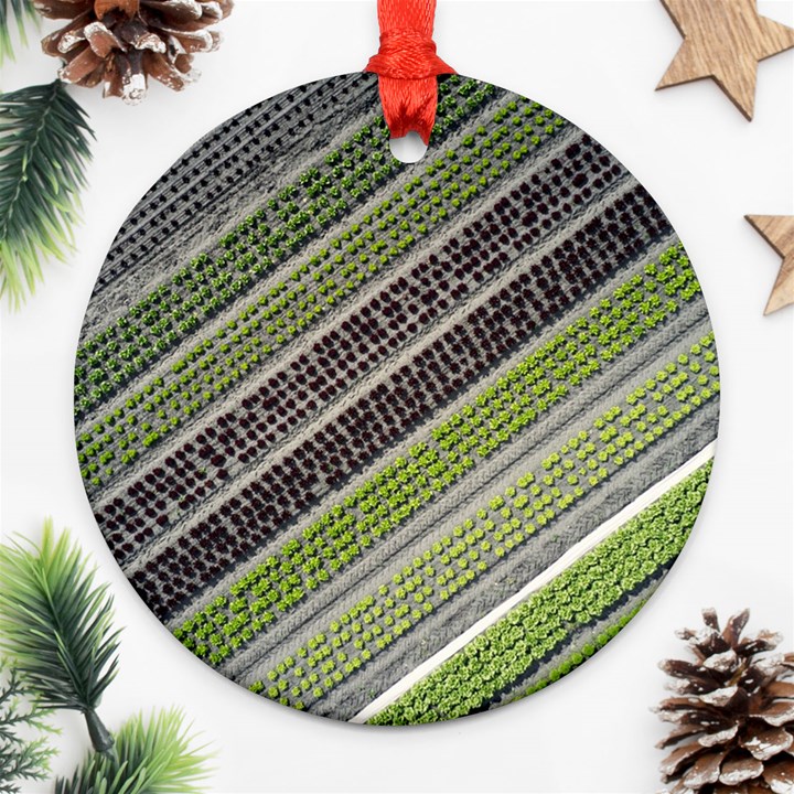 Field Agriculture Farm Stripes Diagonal Round Ornament (Two Sides)