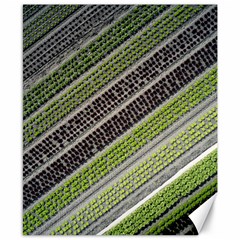 Field Agriculture Farm Stripes Diagonal Canvas 8  X 10 