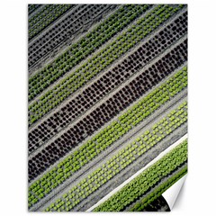 Field Agriculture Farm Stripes Diagonal Canvas 18  X 24 