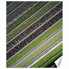 Field Agriculture Farm Stripes Diagonal Canvas 20  X 24 