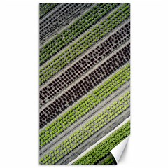 Field Agriculture Farm Stripes Diagonal Canvas 40  X 72  by Jancukart