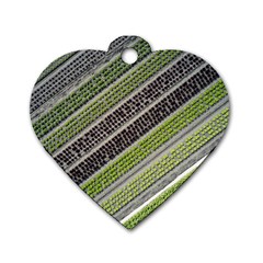 Field Agriculture Farm Stripes Diagonal Dog Tag Heart (one Side)