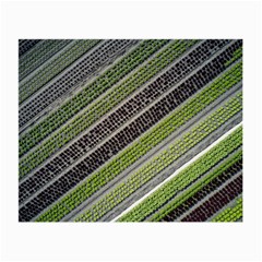 Field Agriculture Farm Stripes Diagonal Small Glasses Cloth (2 Sides)