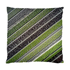 Field Agriculture Farm Stripes Diagonal Standard Cushion Case (one Side) by Jancukart