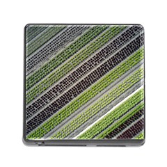 Field Agriculture Farm Stripes Diagonal Memory Card Reader (square 5 Slot)