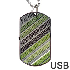 Field Agriculture Farm Stripes Diagonal Dog Tag Usb Flash (one Side) by Jancukart