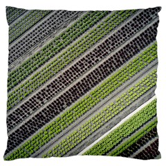 Field Agriculture Farm Stripes Diagonal Standard Premium Plush Fleece Cushion Case (one Side) by Jancukart