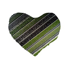 Field Agriculture Farm Stripes Diagonal Standard 16  Premium Flano Heart Shape Cushions by Jancukart