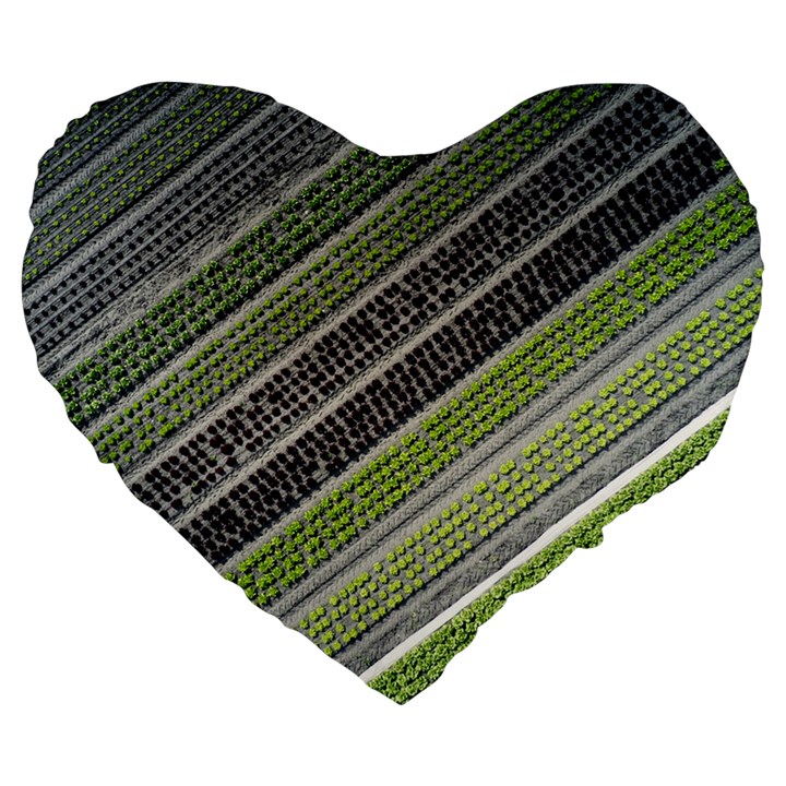 Field Agriculture Farm Stripes Diagonal Large 19  Premium Flano Heart Shape Cushions