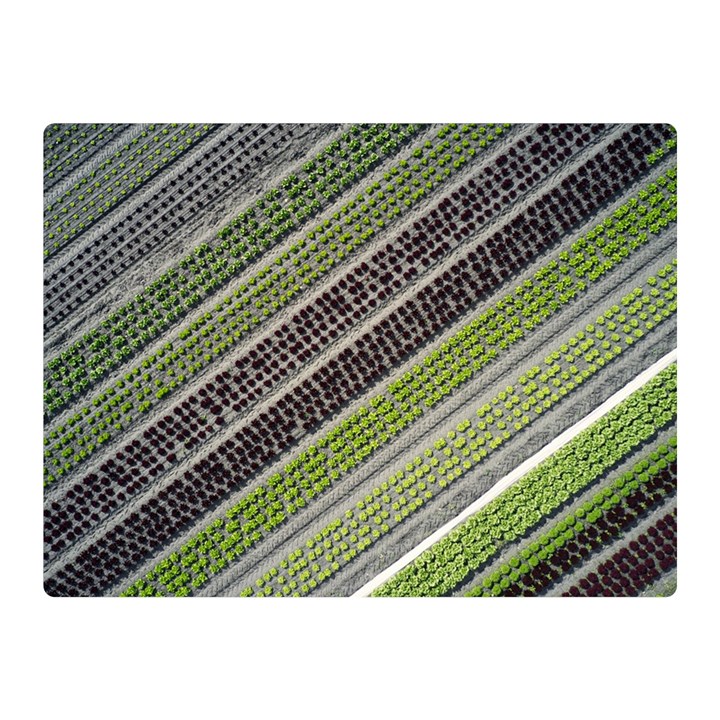 Field Agriculture Farm Stripes Diagonal Two Sides Premium Plush Fleece Blanket (Mini)