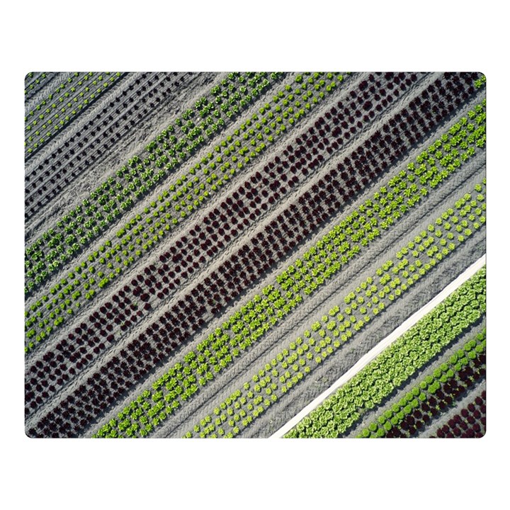 Field Agriculture Farm Stripes Diagonal Two Sides Premium Plush Fleece Blanket (Large)