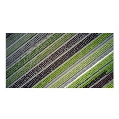 Field Agriculture Farm Stripes Diagonal Satin Shawl 45  X 80 