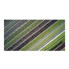 Field Agriculture Farm Stripes Diagonal Satin Wrap 35  X 70 