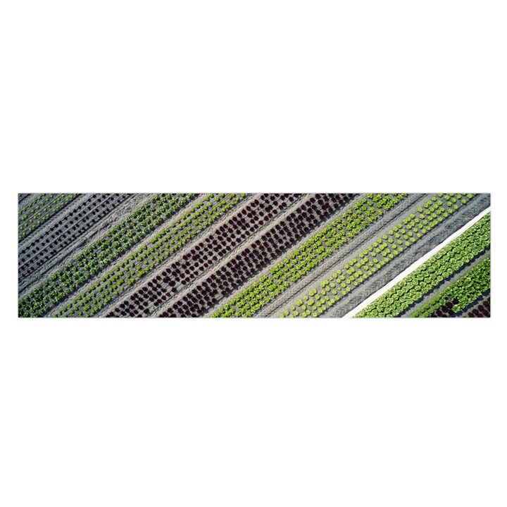 Field Agriculture Farm Stripes Diagonal Oblong Satin Scarf (16  x 60 )