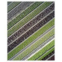 Field Agriculture Farm Stripes Diagonal Drawstring Bag (small)