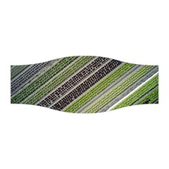 Field Agriculture Farm Stripes Diagonal Stretchable Headband by Jancukart