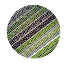 Field Agriculture Farm Stripes Diagonal Mini Round Pill Box by Jancukart