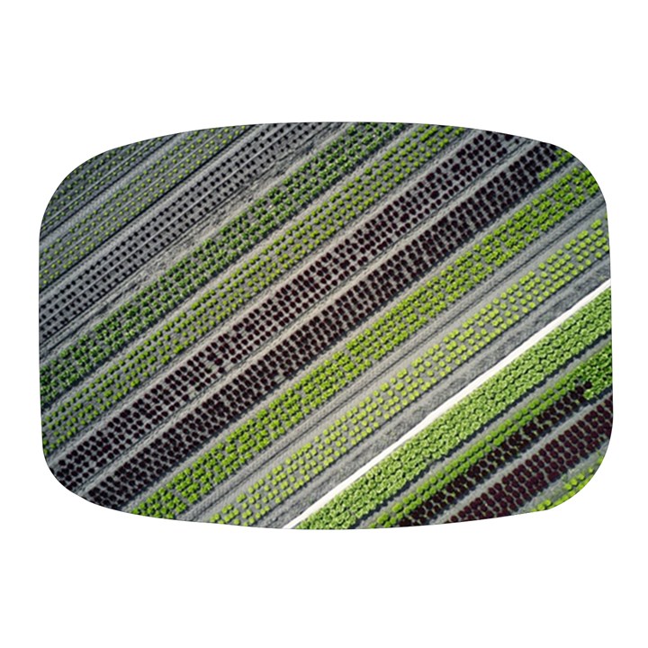 Field Agriculture Farm Stripes Diagonal Mini Square Pill Box