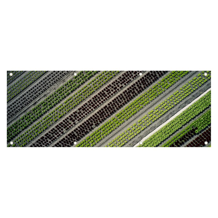 Field Agriculture Farm Stripes Diagonal Banner and Sign 8  x 3 