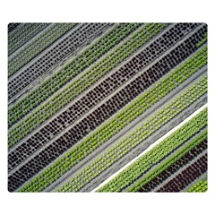 Field Agriculture Farm Stripes Diagonal Premium Plush Fleece Blanket (small) by Jancukart