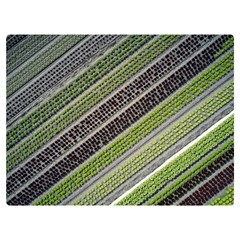 Field Agriculture Farm Stripes Diagonal Premium Plush Fleece Blanket (extra Small) by Jancukart