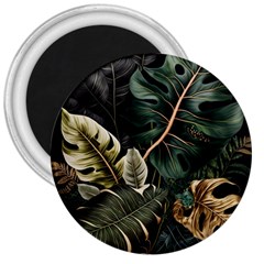 Tropical Leaves Foliage Monstera Nature Home Pattern 3  Magnets