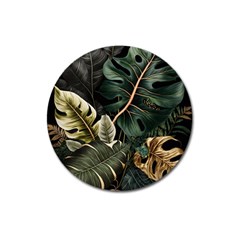 Tropical Leaves Foliage Monstera Nature Home Pattern Magnet 3  (round)