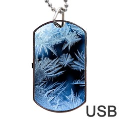 Pattern Frosty Frost Glass Dog Tag Usb Flash (two Sides) by Jancukart