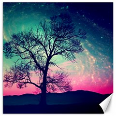 Tree Abstract Field Galaxy Night Nature Canvas 20  X 20 