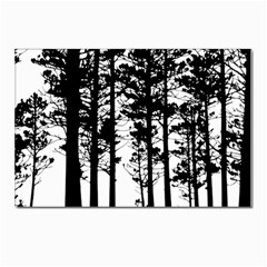 Trees Forest Woods Woodland Trunk Postcards 5  X 7  (pkg Of 10) by Jancukart