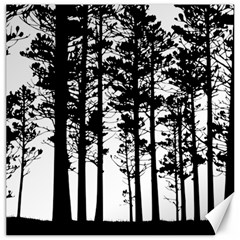 Trees Forest Woods Woodland Trunk Canvas 20  X 20  by Jancukart