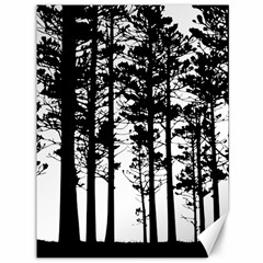 Trees Forest Woods Woodland Trunk Canvas 36  X 48 