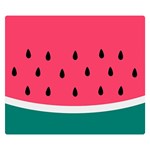 Watermelon Fruit Pattern Premium Plush Fleece Blanket (Small) 50 x40  Blanket Front