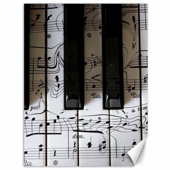 Music Piano Instrument Sheet Canvas 36  x 48 