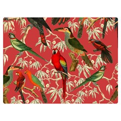 Vintage Tropical Birds Pattern In Pink Two Sides Premium Plush Fleece Blanket (extra Small) by CCBoutique