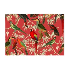 Vintage Tropical Birds Pattern In Pink Crystal Sticker (a4) by CCBoutique