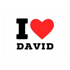 I Love David Two Sides Premium Plush Fleece Blanket (mini) by ilovewhateva