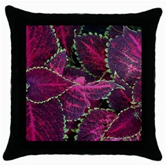 Abstract Beautiful Beauty Bright Throw Pillow Case (black) by Semog4