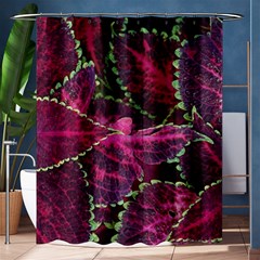 Abstract Beautiful Beauty Bright Shower Curtain 60  X 72  (medium)  by Semog4