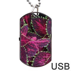 Abstract Beautiful Beauty Bright Dog Tag Usb Flash (two Sides) by Semog4