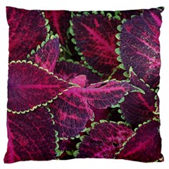 Abstract Beautiful Beauty Bright Large Cushion Case (one Side) by Semog4